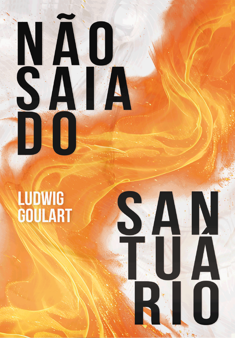 Capa_livro_Não_Saia_do_Santuário